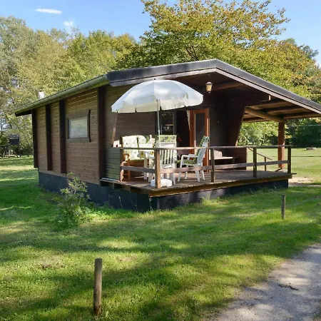 Cozy On A Horse Farm In The L Neburg Heath *