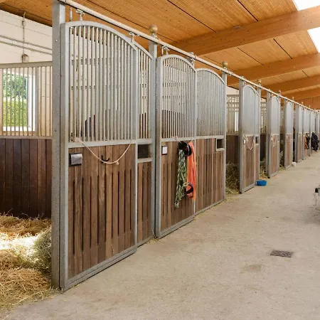 Cozy On A Horse Farm In The L Neburg Heath Сasa de vacaciones Eschede