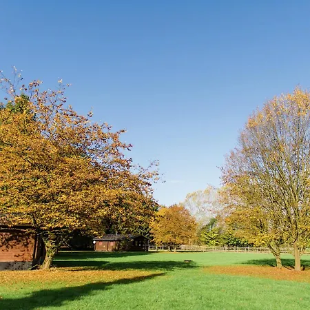 Holiday home Cozy On A Horse Farm In The L Neburg Heath