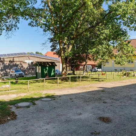 Holiday home Cozy On A Horse Farm In The L Neburg Heath *