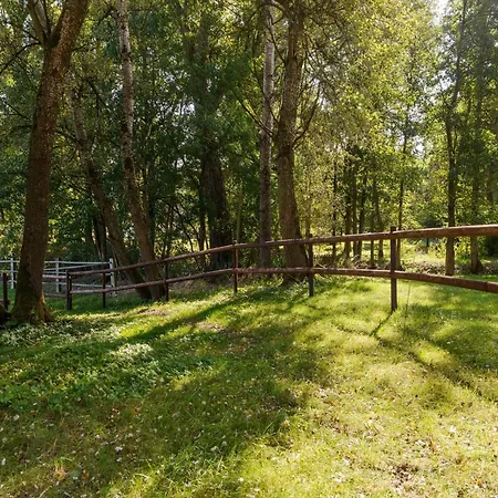 Cozy On A Horse Farm In The L Neburg Heath *