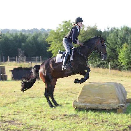 Cozy On A Horse Farm In The L Neburg Heath Eschede
