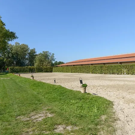 Nyaraló Cozy On A Horse Farm In The Lueneburg Heath Eschede