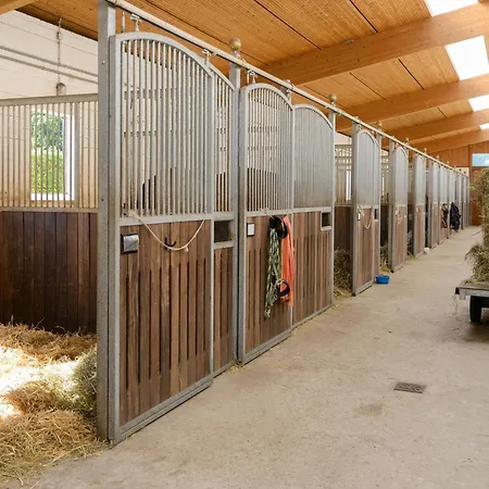 度假居 Cozy On A Horse Farm In The Lueneburg Heath