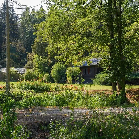 Cozy On A Horse Farm In The Lueneburg Heath 度假居 埃舍德