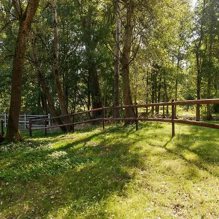 度假居 Cozy On A Horse Farm In The Lueneburg Heath *