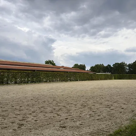Cozy On A Horse Farm In The Lueneburg Heath Eschede