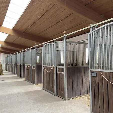 Cozy On A Horse Farm In The Lueneburg Heath *