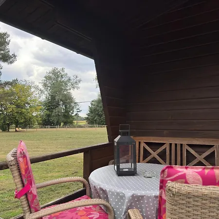 Cozy On A Horse Farm In The Lueneburg Heath