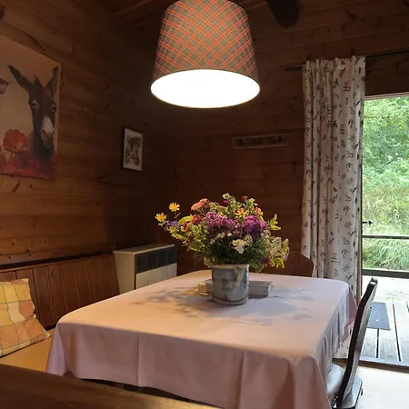 Cozy On A Horse Farm In The Lueneburg Heath