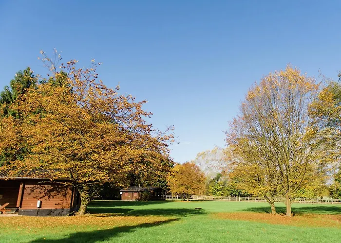 Cozy On A Horse Farm In The Lueneburg Heath *