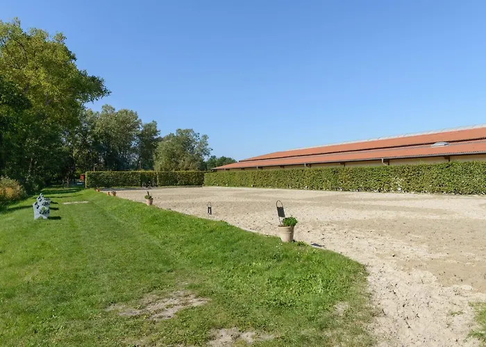 Semesterbostad Cozy On A Horse Farm In The Lueneburg Heath Eschede