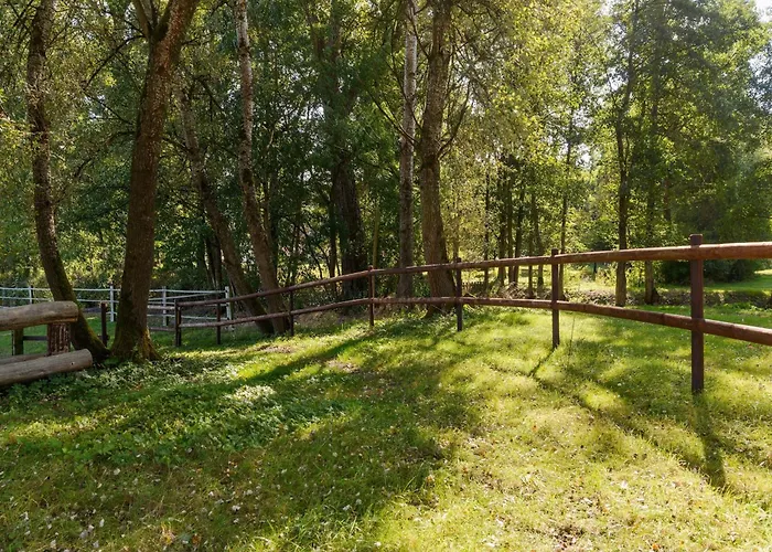 Semesterbostad Cozy On A Horse Farm In The Lueneburg Heath *