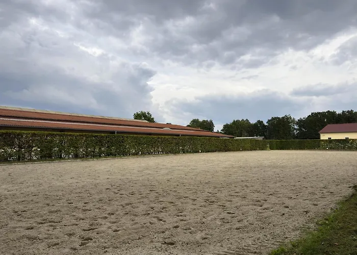 Cozy On A Horse Farm In The Lueneburg Heath 埃舍德