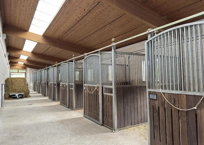 Cozy On A Horse Farm In The Lueneburg Heath *